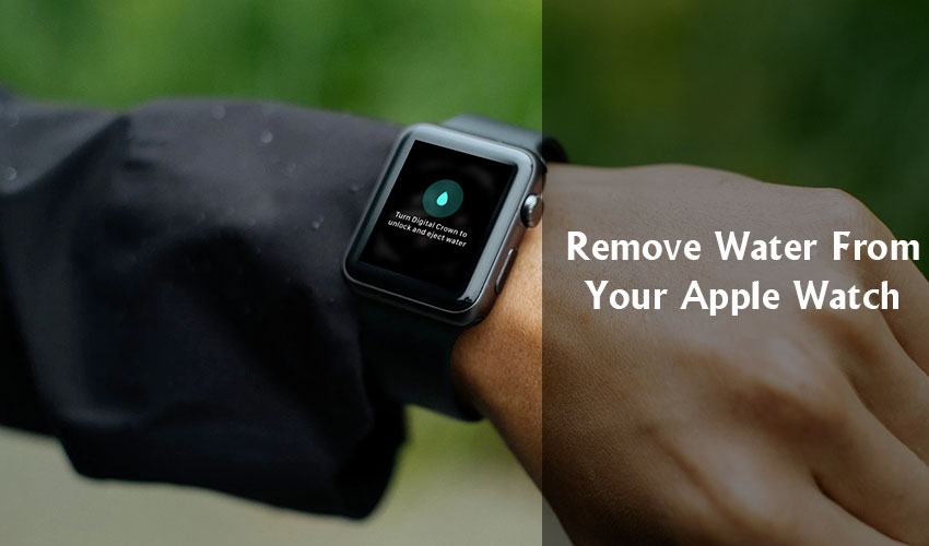 Remove-Water-From-Your-Watch
