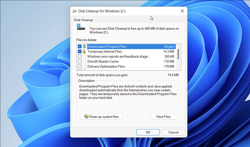 Windows 11 Disk Cleanup Function Screenshot