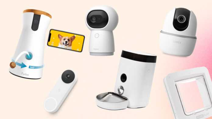 Top 10 Smart Home Devices for Pet Owners