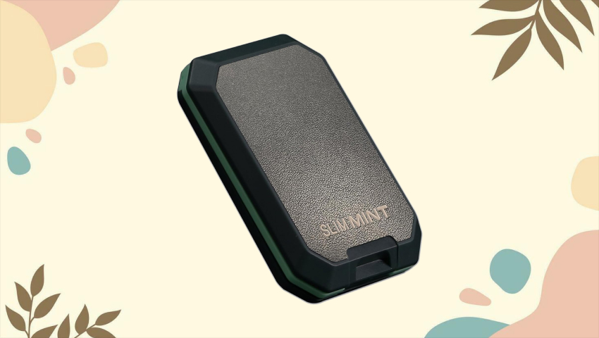 Slim Mint Ultra-Thin RFID-Blocking Wallet - important travelling gadgets